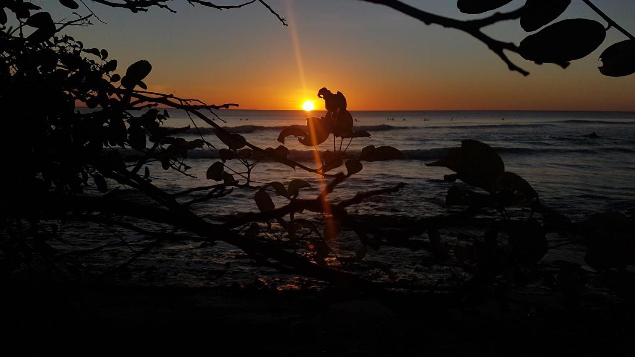 Verdad Nicaragua San Juan del Sur Ngoại thất bức ảnh
